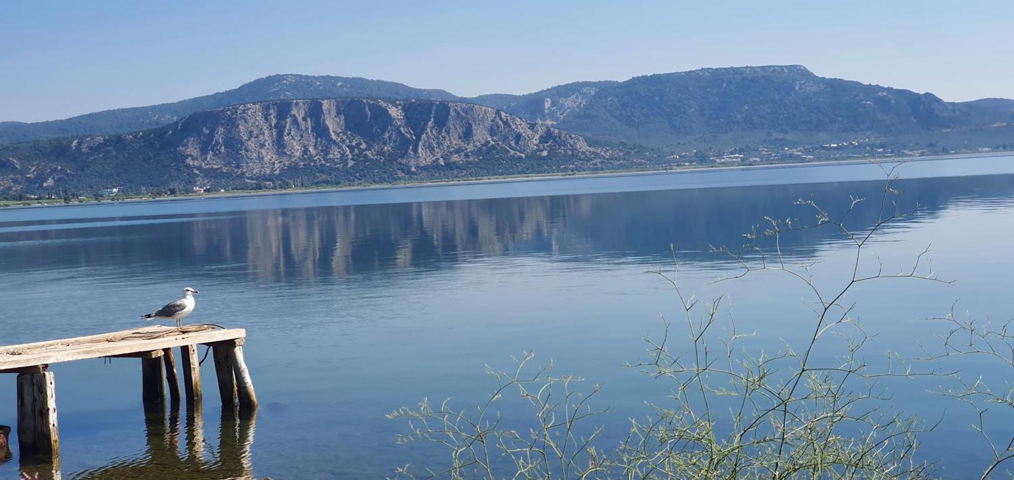 Villa Aggemari Apidias Lakos Exteriér fotografie